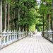 「パワースポット」~氷川神社あれこれ~