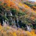 湯河原地区のパワースポット巡り