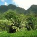 ハワイの自然を満喫できるおすすめのトレッキングコースをレベルごとに紹介