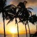 ハワイの伝統を大切している「モロカイ島」とは？訪れたい観光スポットを紹介